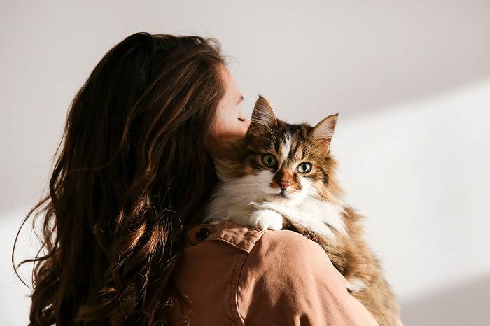 A imagem captura um momento comovente de uma mulher abraçando ternamente seu gato.