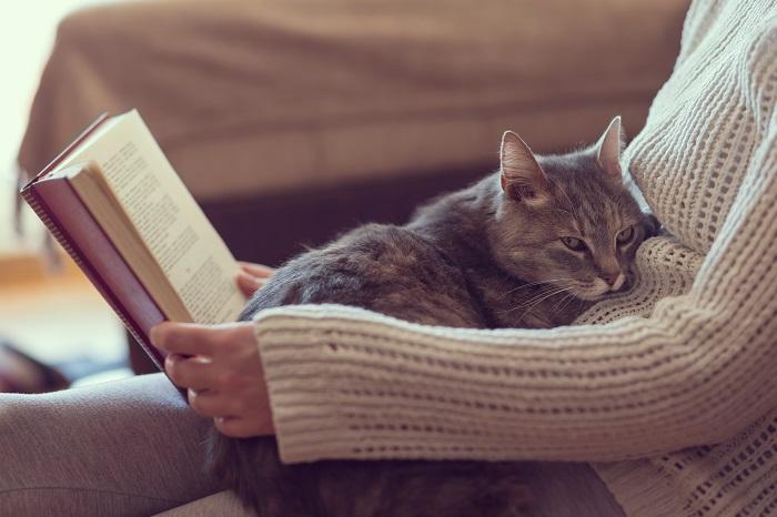 mulher lê livro gato senta no colo