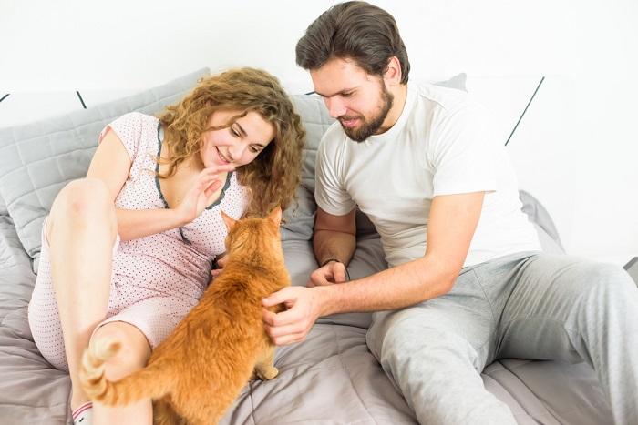 Uma imagem que captura um momento emocionante entre um gato e um casal, mostrando o forte vínculo e carinho compartilhado entre eles enquanto interagem e desfrutam da companhia um do outro.