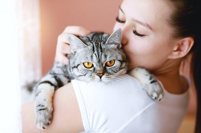 Um momento emocionante entre um gato e um humano, mostrando seu vínculo e conexão especial.