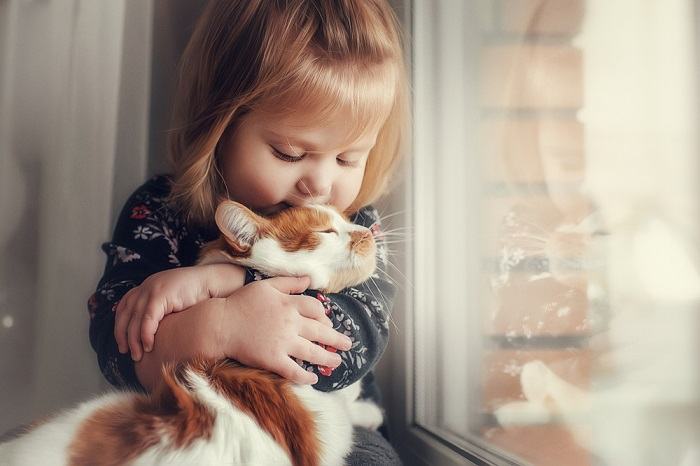 Um gato e uma criança juntos, retratando uma interação emocionante entre um companheiro felino e uma criança.