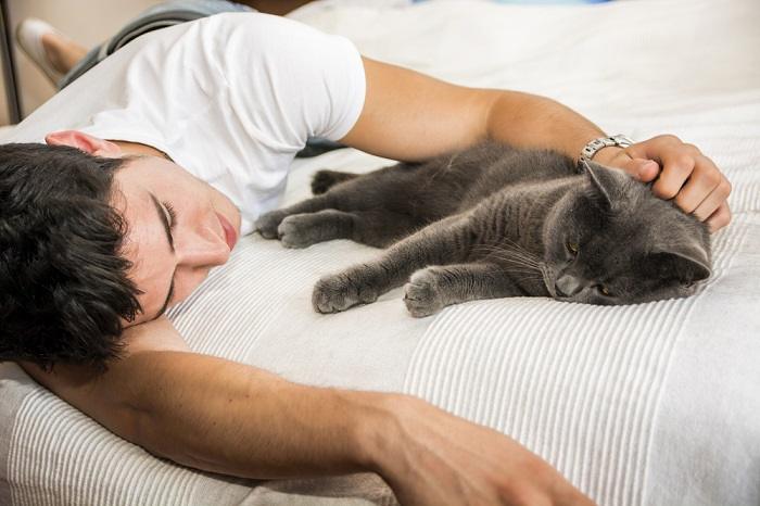 Homem deitado na cama com um gato