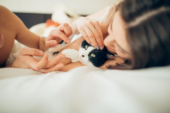 Casal se relacionando com seu gato.