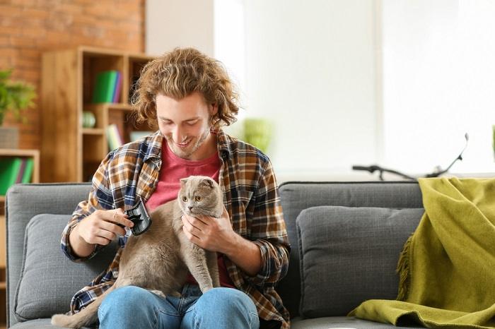 Preparação de gatos.