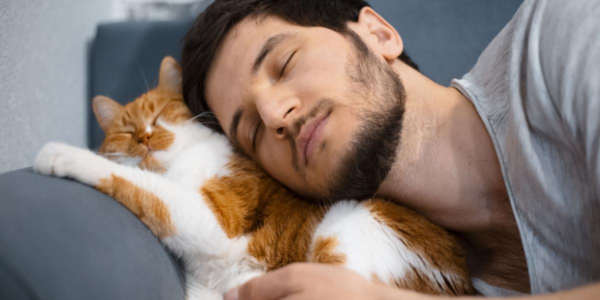 Momento comovente entre um homem e seu gato enquanto eles compartilham um abraço caloroso.