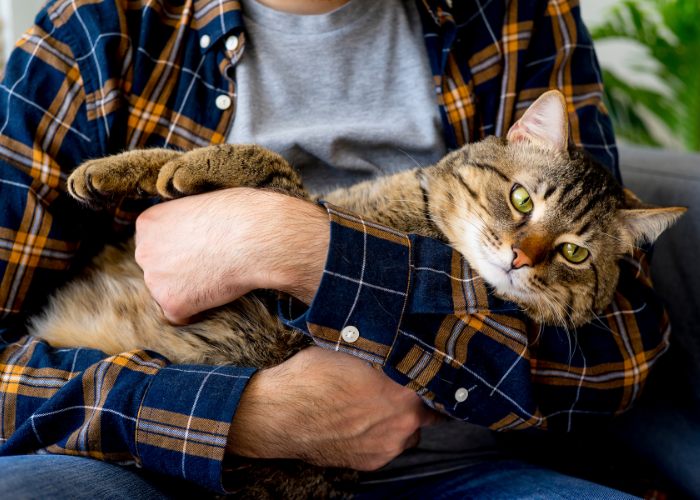 Uma imagem que retrata um homem segurando gentilmente um gato nos braços.