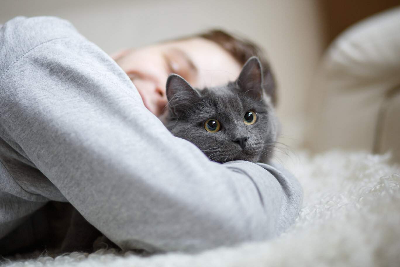 Um momento emocionante capturado quando um homem abraça seu gato com amor enquanto está sentado em uma cama, ilustrando o forte vínculo e companheirismo entre humanos e seus amigos felinos.