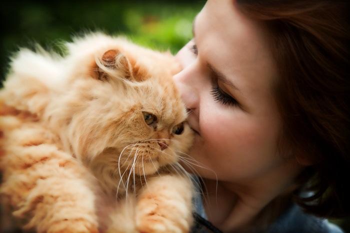 Comer cabelo humano pode ser um sinal de estresse em gatos.