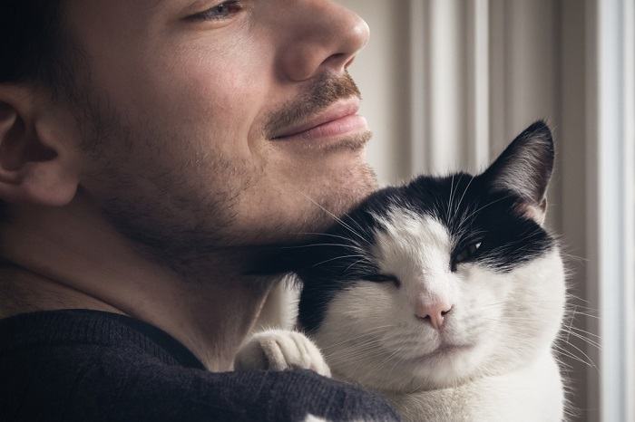 A imagem de um homem sentado em um sofá com um gato satisfeito descansando em seus braços.