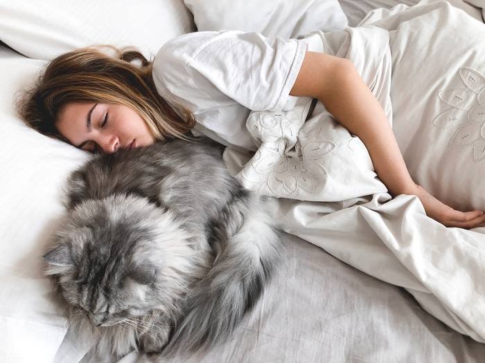 A imagem captura uma mulher e seu companheiro felino compartilhando um momento aconchegante em um travesseiro, destacando seu vínculo e conforto juntos.