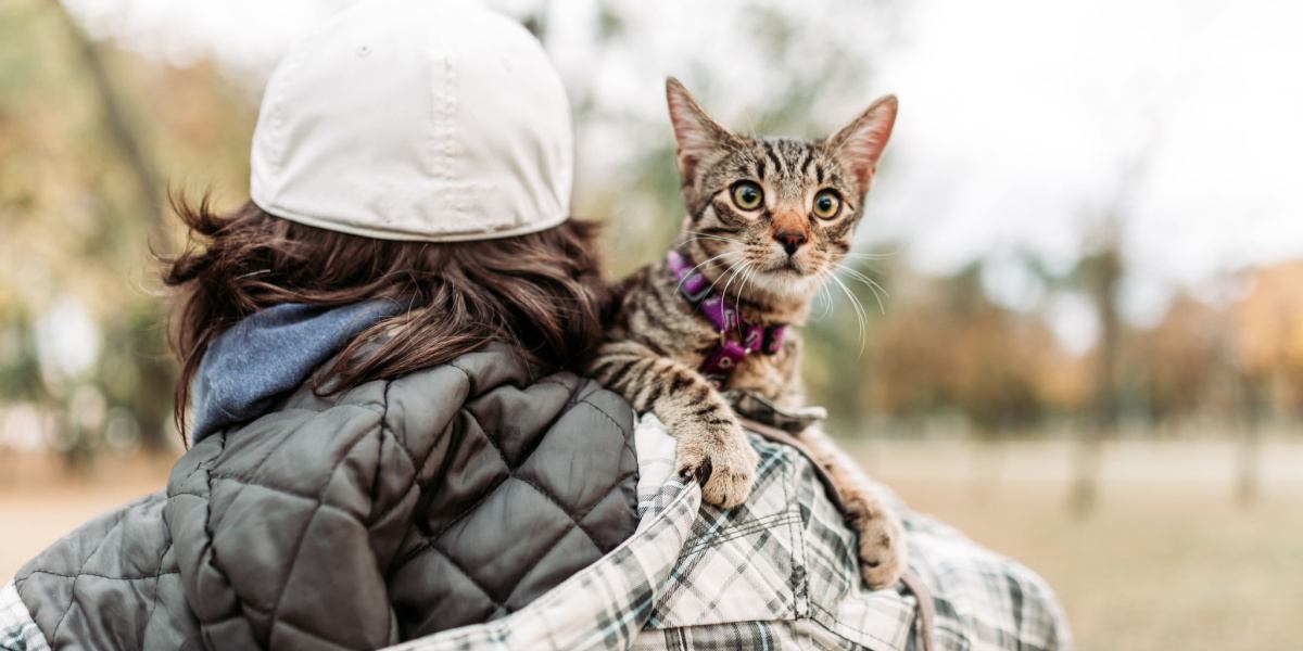 Imagem de um homem carregando um gato calmo e contente nos braços, ambos caminhando juntos em um cenário pitoresco.