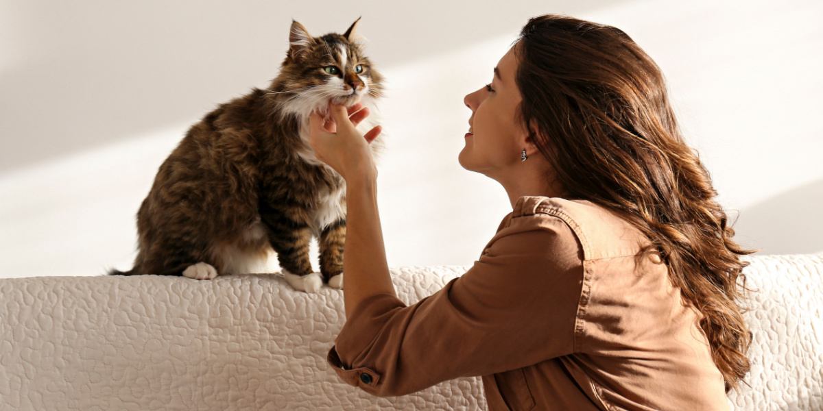 Uma imagem retratando um novo dono de gato iniciando sua jornada com seu companheiro felino.