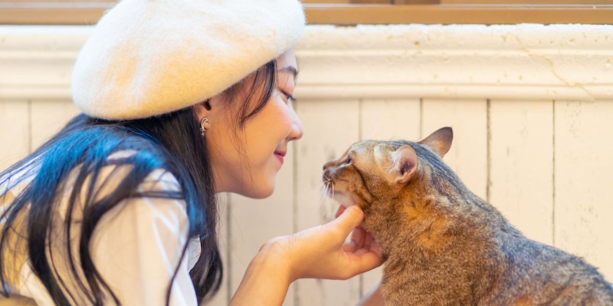 gato olhando para seu dono feliz