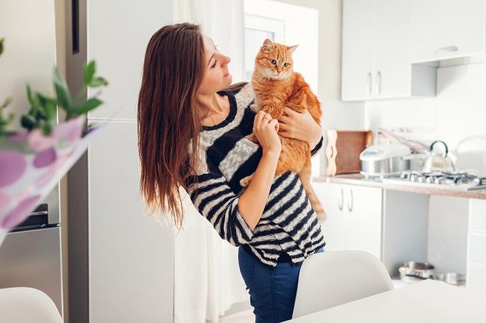 abordagem para disciplinar um gato