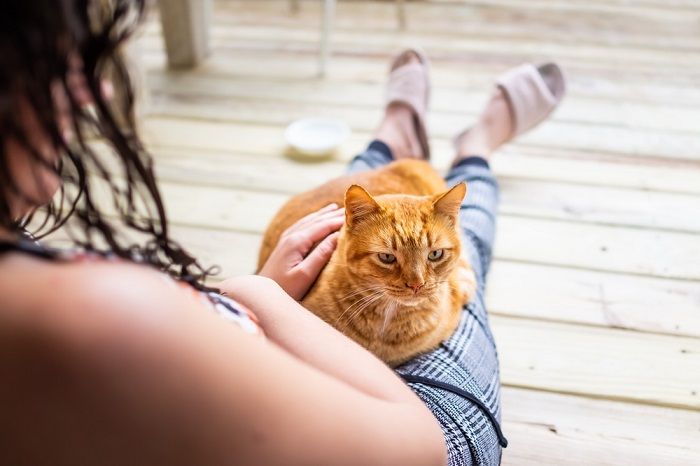 Jovem sentada no chão, segurando um gato nos braços.