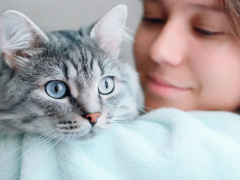 Cat and girl together.