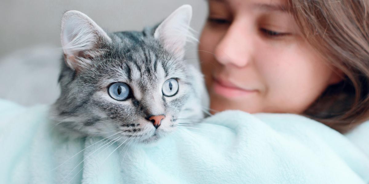 Gato e menina juntos.