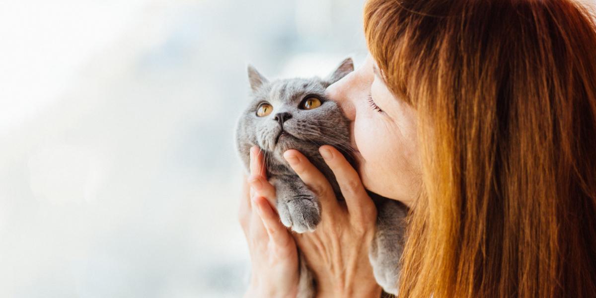 Uma imagem que captura um momento emocionante de uma pessoa beijando seu gato.