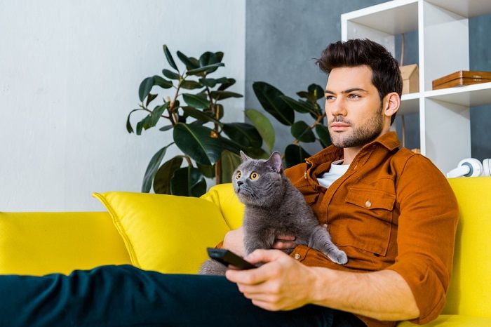 homem com controle remoto e gato cinza