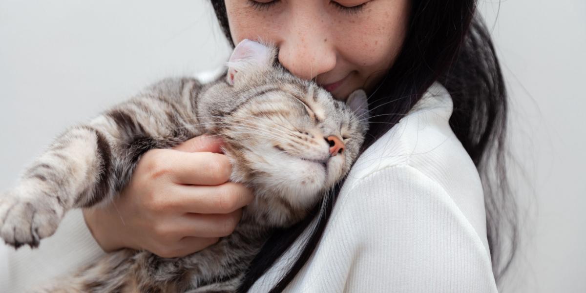 gato esfregando a cabeça em uma garota