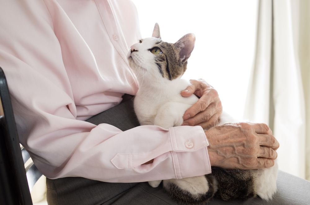 Uma imagem de uma pessoa idosa segurando um gato adorável.