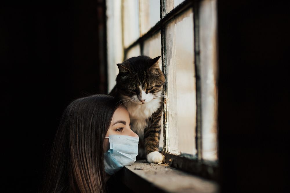 Uma imagem que retrata uma menina com seu gato triste, mas adorável.