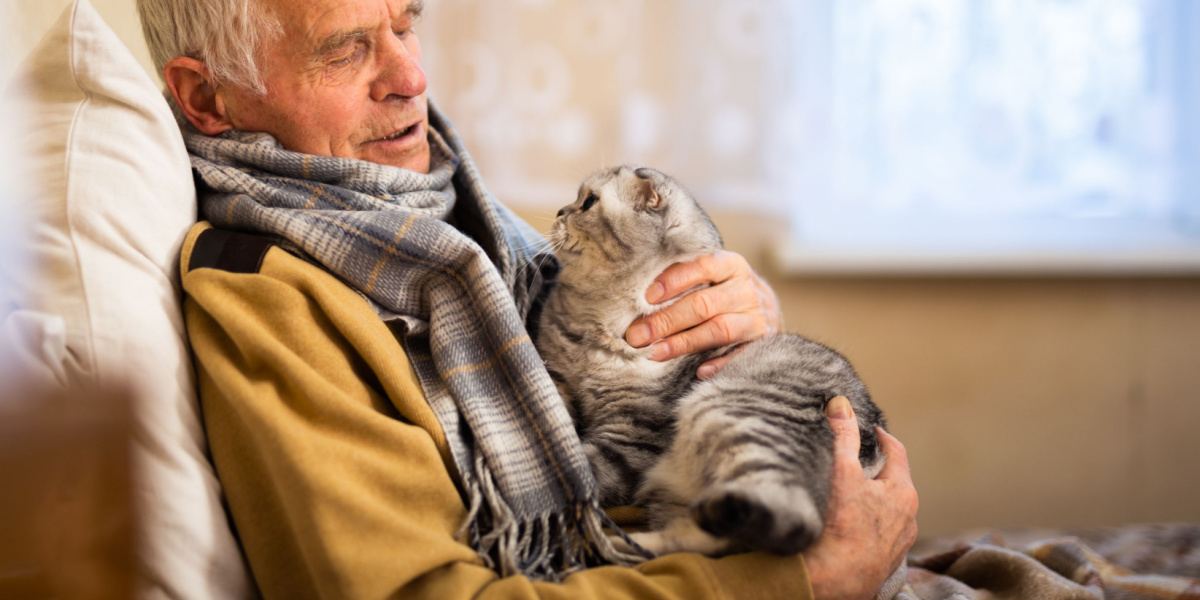 Uma imagem apresentando um homem mais velho de cabelos grisalhos com um suéter aconchegante segurando um gato Scottish Fold.