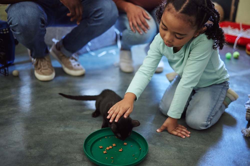 menina alimentando gatinho em abrigo para animais de estimação