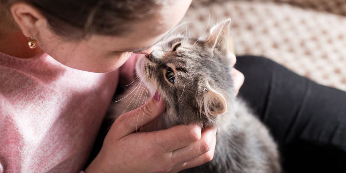 menina beijando gato no nariz