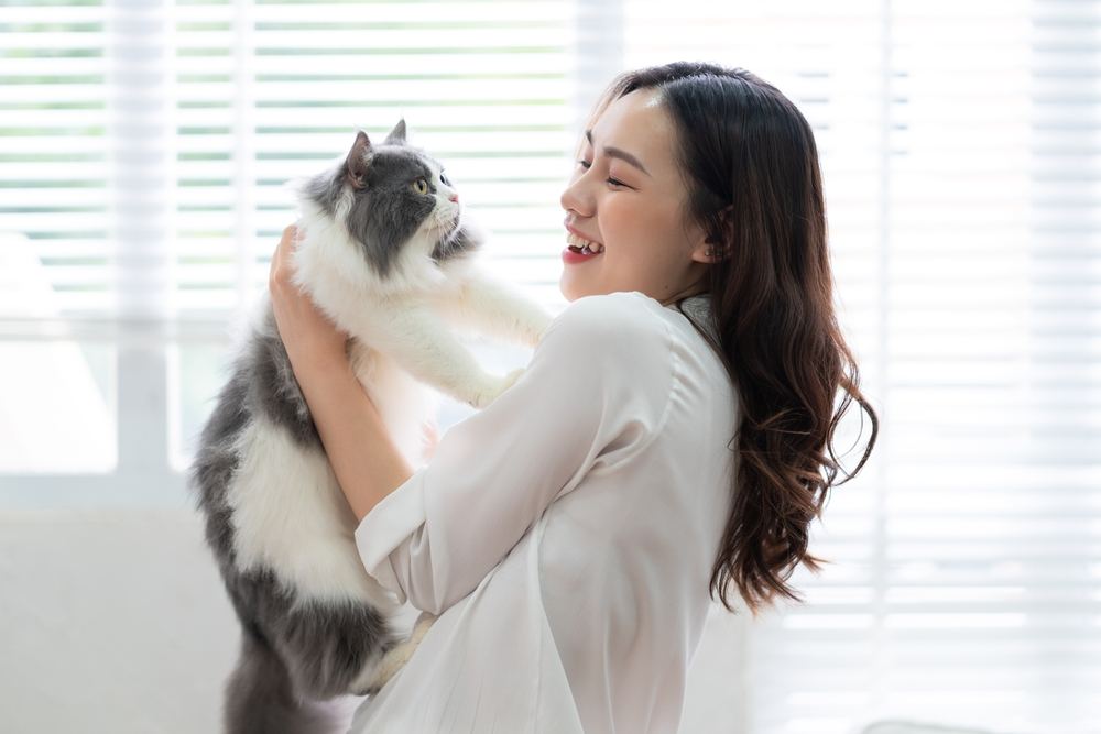 mulher brincando com gato em casa