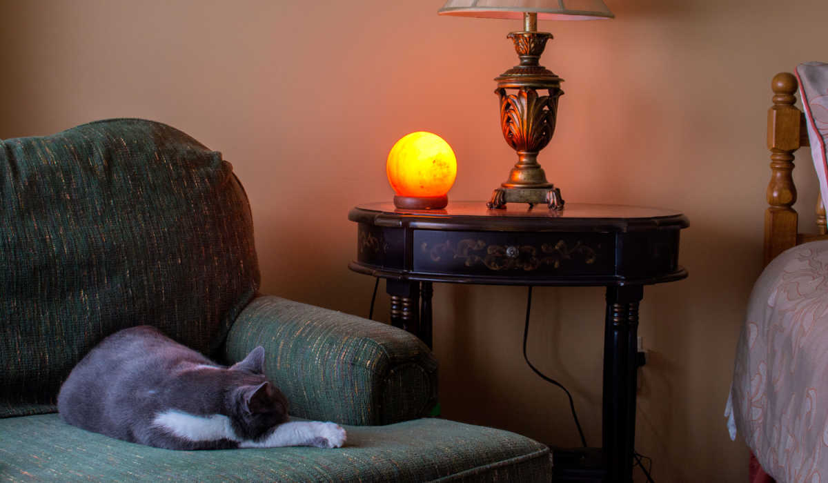 Um gato dormindo pacificamente ao lado de uma lâmpada de sal do Himalaia, capturando um momento sereno e aconchegante em um ambiente relaxante.