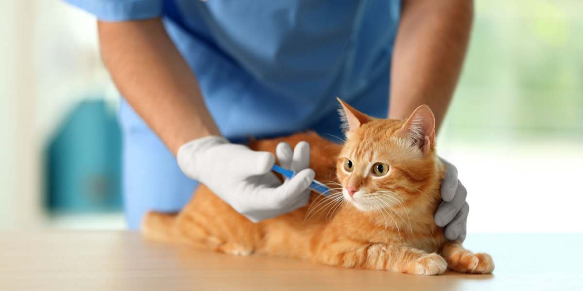 Veterinário administrando vacinação a um gato em uma clínica veterinária, garantindo a saúde e o bem-estar do gato