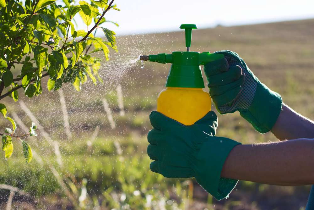 pulverizador manual com pesticidas no jardim