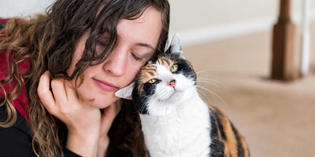 Marcação de cheiro de gato no rosto