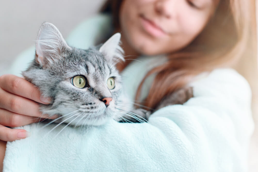 mulher em casa segurando e abraçando seu lindo gato fofo