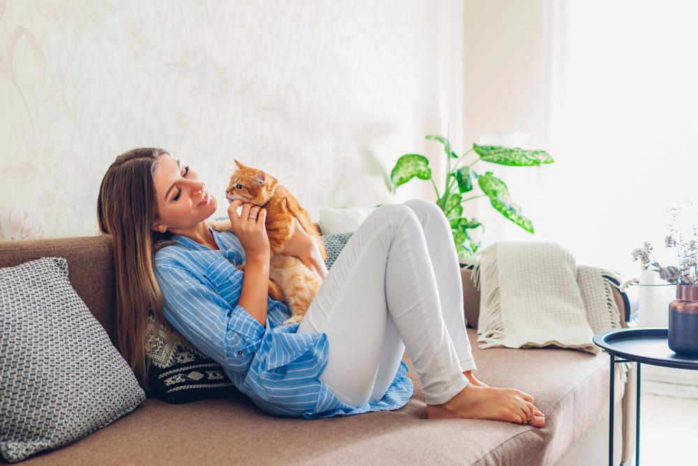 Brincando com gato em casa