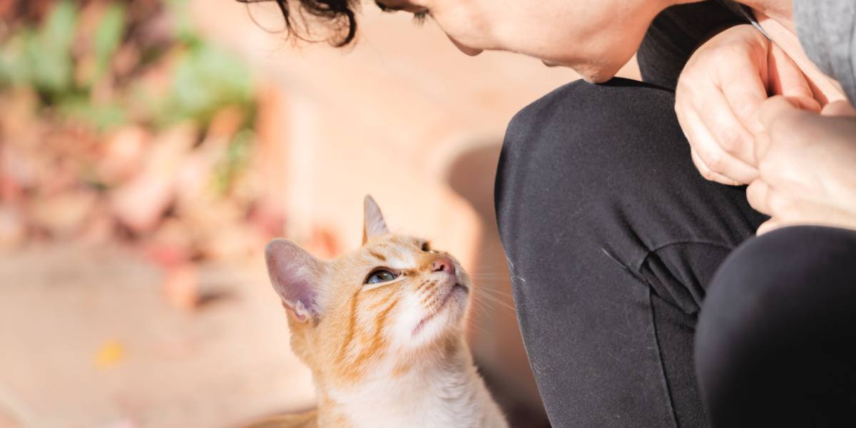 Cuidador de gato jovem olhando amorosamente