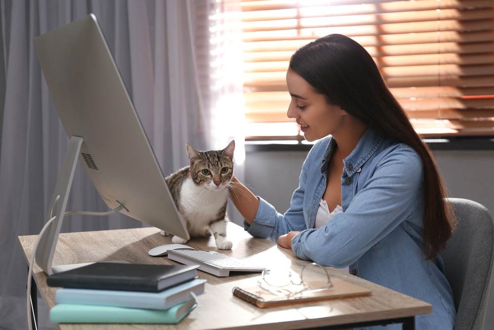 Jovem acariciando gato à mesa