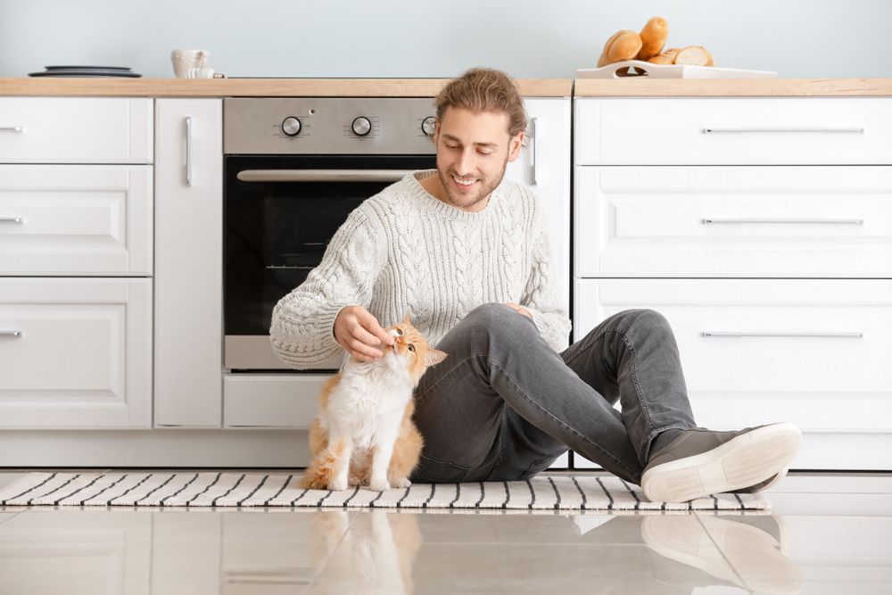 Homem alimentando gato fofo na cozinha