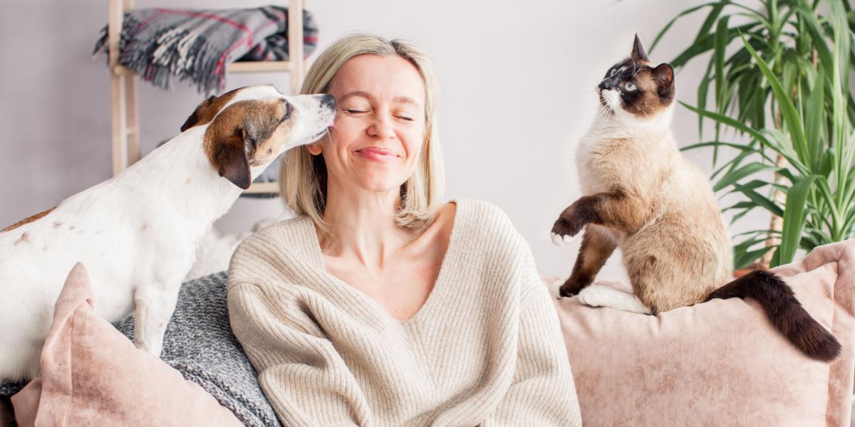 mulher está descansando no sofá com um cachorro e um gato