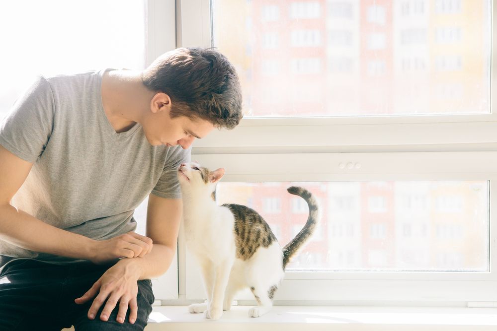 jovem está sentado com um gato