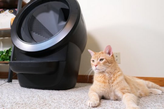 Como funciona o Litter-Robot?