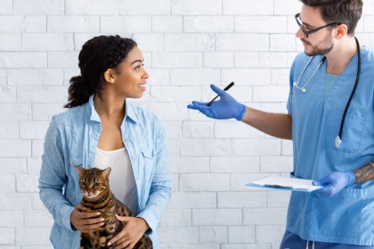 O Que Fazer Quando Não se tem Dinheiro para Pagar o Veterinário?