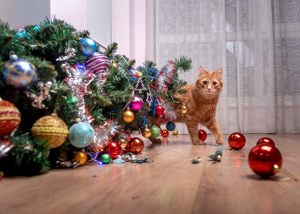 Culpa do gato de estimação - árvore de Natal caída