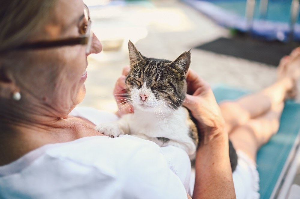 Mulher sênior feliz abraçando gato doméstico