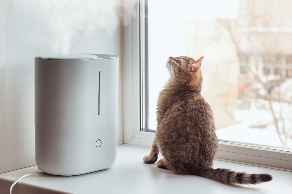 Um jovem gato malhado senta-se no parapeito da janela e olha para o vapor do umidificador de ar branco.