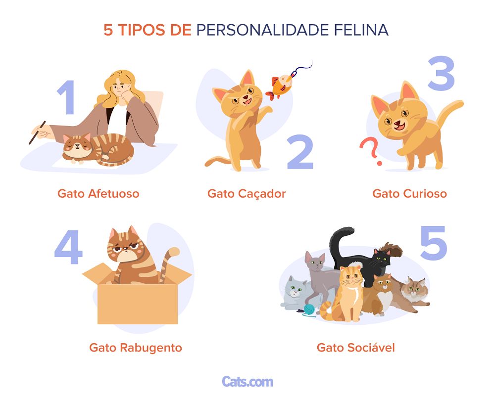 5 Espectro de Personalidade Felina