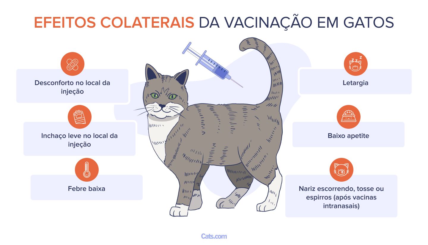 Efeitos colaterais da vacinação em gatos