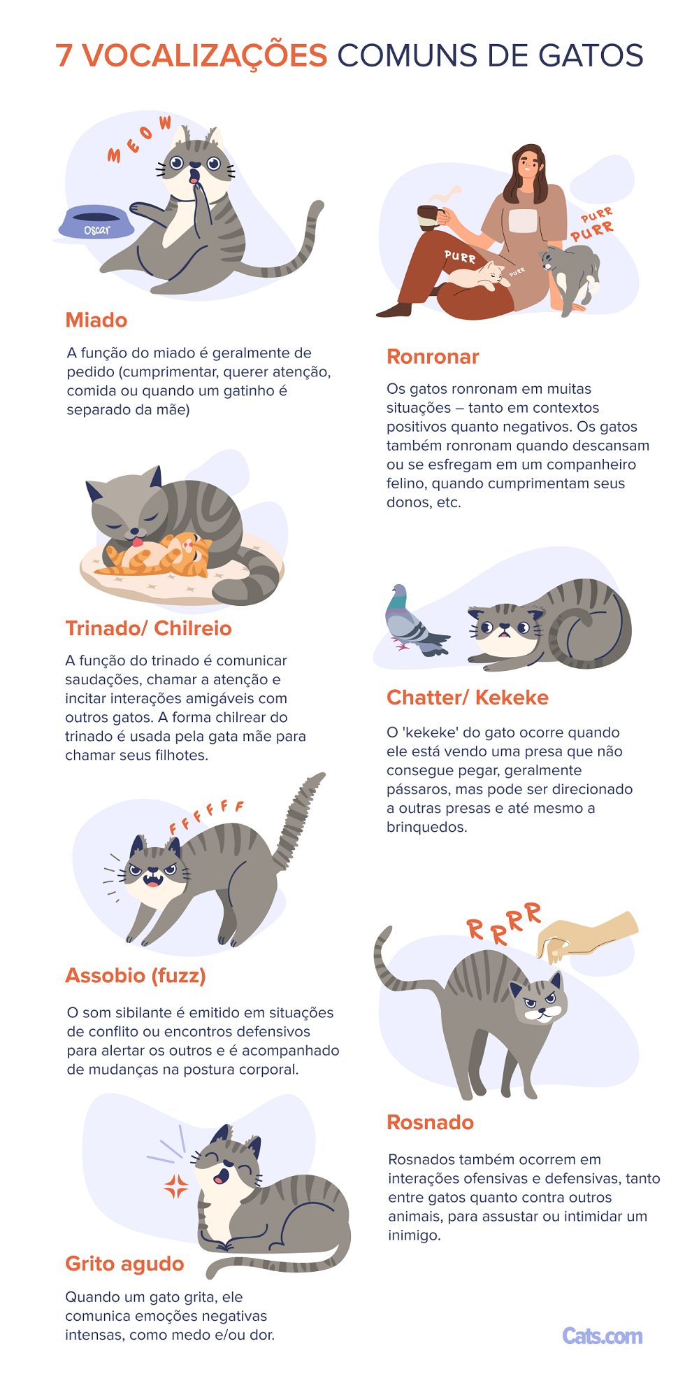 Lista de vocalizações feitas por gatos