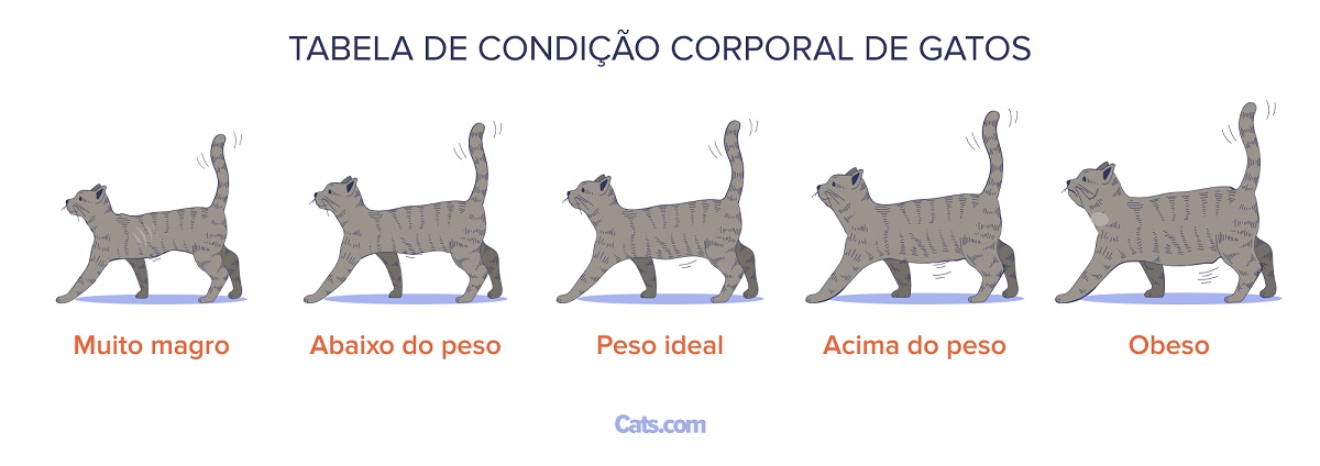Gráfico de Obesidade em Gatos